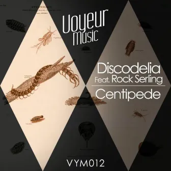 Centipede by Discodelia