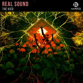 Real Sound by madoromi