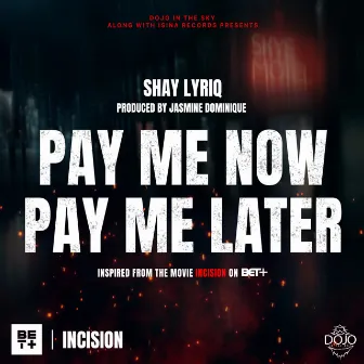 PAY ME NOW PAY ME LATER by Shay Lyriq