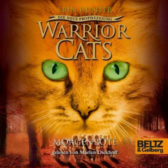 Warrior Cats - Die neue Prophezeiung. Morgenröte (II, Folge 3) by Erin Hunter