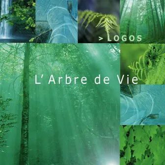 L'arbre de vie by Logos