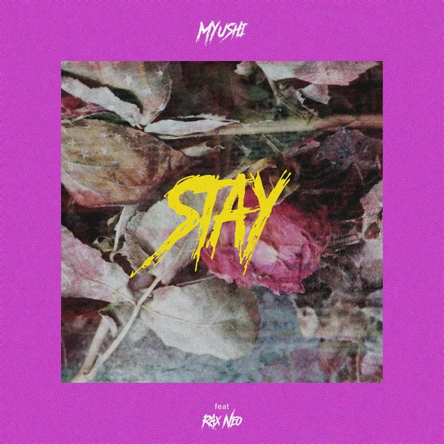 Stay