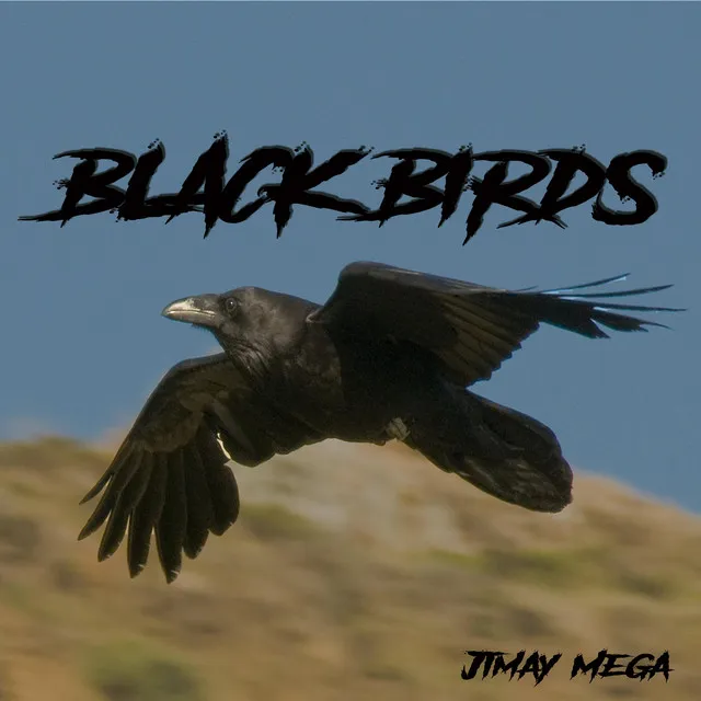 Black Birds