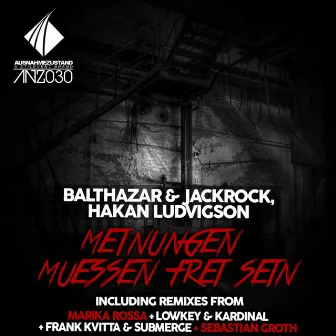 Meinungen Muessen Frei Sein: The Remixes by Hakan Ludvigson