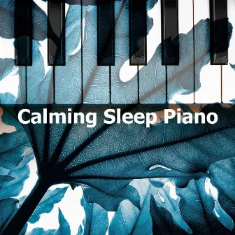 Calming Sleep Piano by Dream Piano Magicians