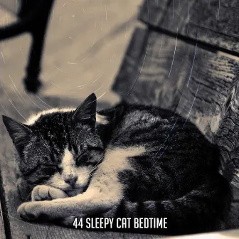 44 Sleepy Cat Bedtime by Hypnosis