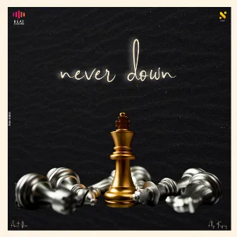 NEVER DOWN by Aly Kyng