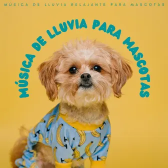 Música De Lluvia Para Mascotas: Música De Lluvia Relajante Para Mascotas by Las Vientas