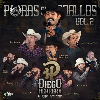 Diego Herrera y Sus Amigos - Puras de Caballos Vol. 2 by Diego Herrera