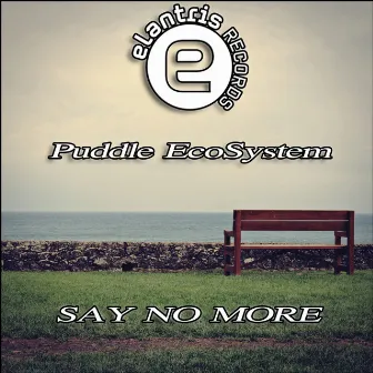 Say No More by Puddle EcoSystem