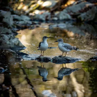 Tranquil Binaural Sleep Sounds Nature Creek Birds Harmony by Rangitoto