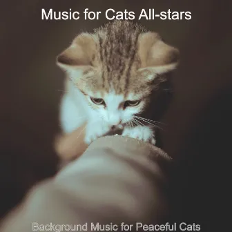 Background Music for Peaceful Cats by Music for Cats All-stars