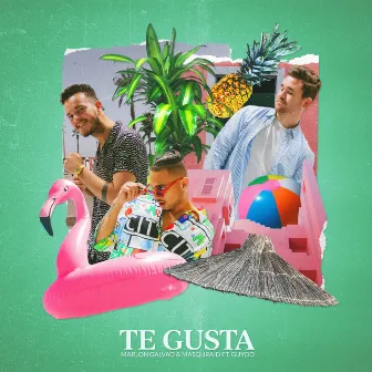 Te Gusta by Marlon Galvao