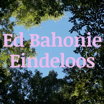 Eindeloos by Ed Bahonie