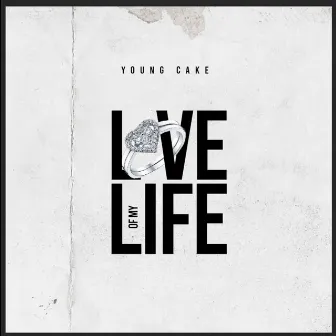 Love of My Life by Young Cake