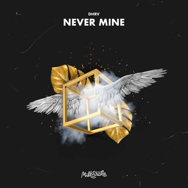 Never Mine