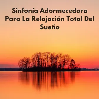 Sinfonía Adormecedora Para La Relajación Total Del Sueño by Sueño Sonidos HD