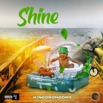 Shine by Kingorongoro