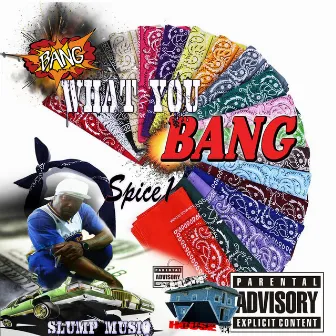 Bang What You Bang by Slump Musiq