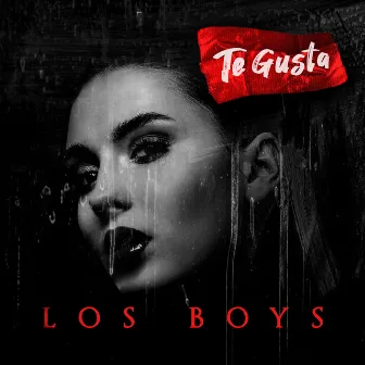 Te Gusta by Los Boys