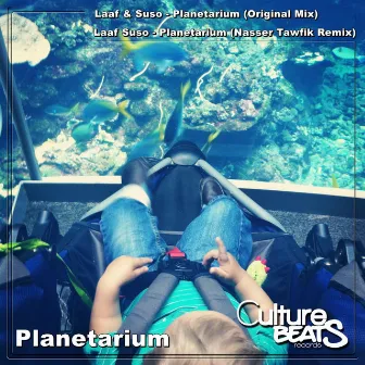 Planetarium by Laaf