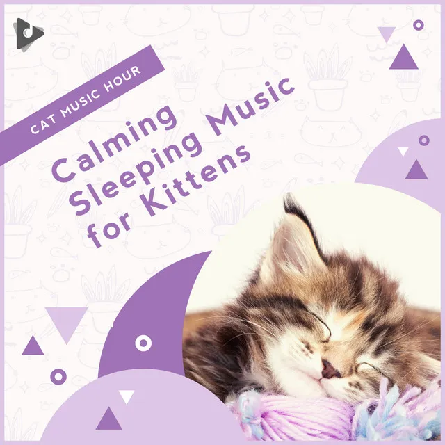 Music for Kittens