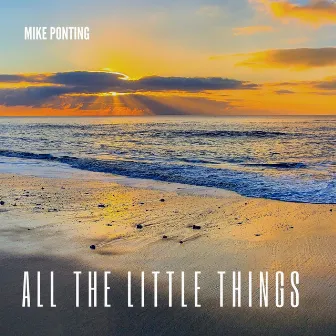 All the little things by Mike Ponting