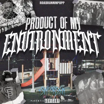 Product of My Environment by Roadrunninpopp