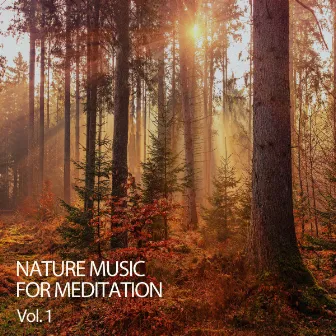 Nature Music For Meditation Vol. 1 by Massage Music Station