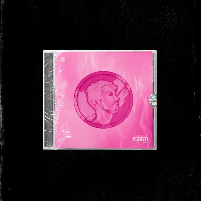 Pink Money $ (Leo Hainer Remix)