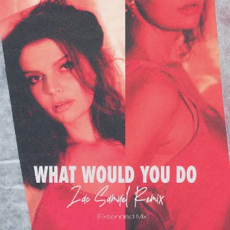 What Would You Do (Zac Samuel Remixes) by Anna Dellaria