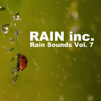 Rain Sounds Vol. 7 by Rain Inc