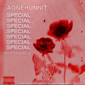 Special by Aonehunnit