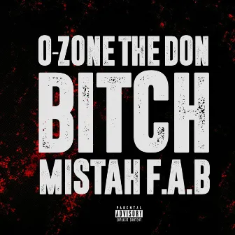 Bitch by O-Zone the Don