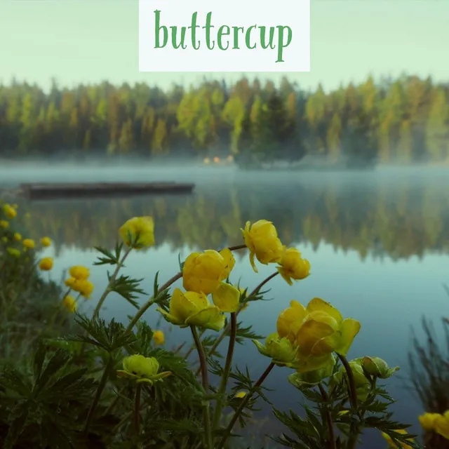 Buttercup