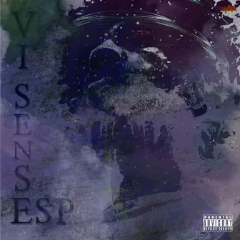 VI Sense | ESP by HallobethyName