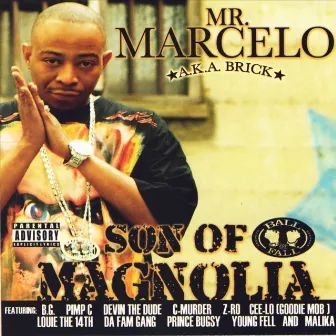 Son Of Magnolia by Mr. Marcelo