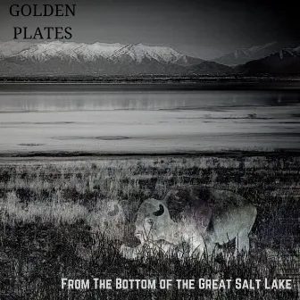 From the Bottom of the Great Salt Lake by Golden Plates