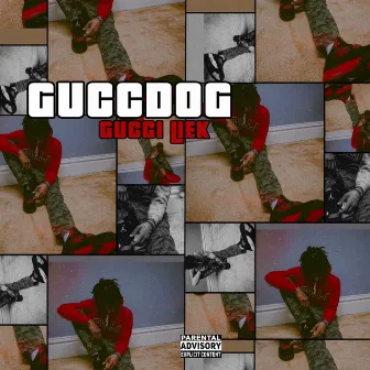 GUCCDOG by Gucci Liek