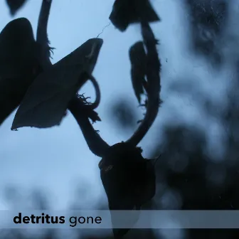 Gone by Detritus