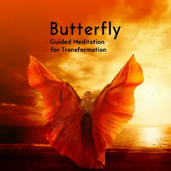 Butterfly: Guided Meditation for Transformation, Self Hypnosis Therapy, Effects Metamorphosis (Personal Development) by Enya Women Celtic