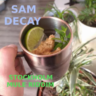 Stockholm Mule Riddim by Sam Decay