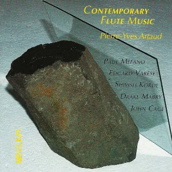 Contemporary Flute Music by Pierre-Yves Artaud