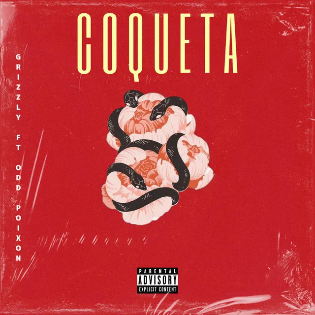 Coqueta