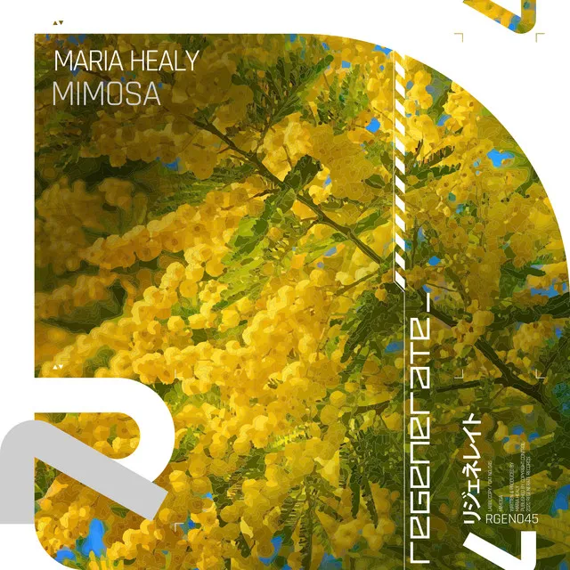 Mimosa