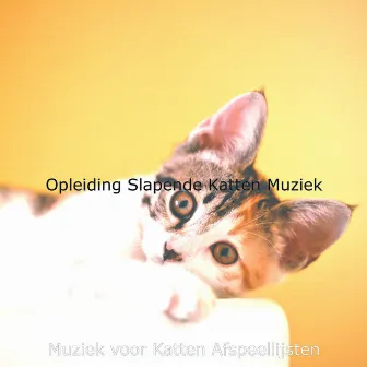 Opleiding Slapende Katten Muziek by Unknown Artist