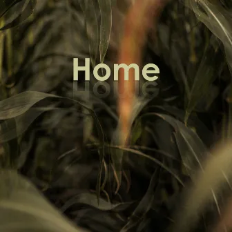 Home by Margaret Hermant