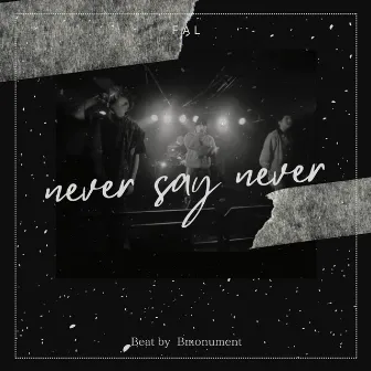 never say never by FAL