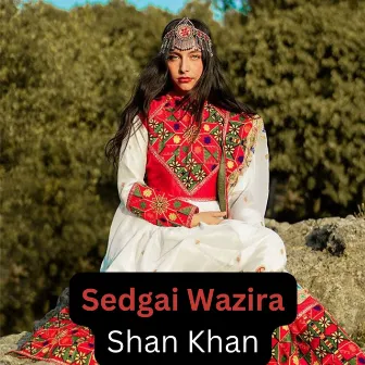 Sedgai Wazire by Shan Khan