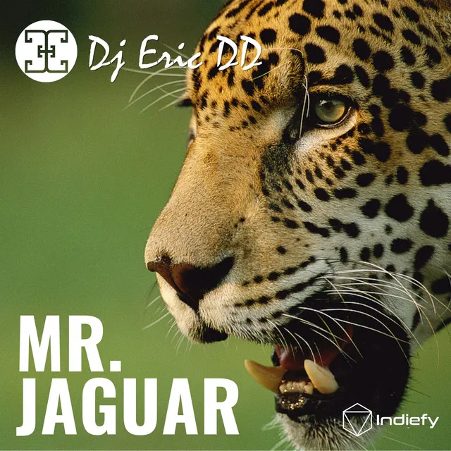 Mr. Jaguar